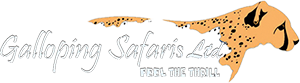 Galloping Safari Logo